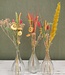 Set Loua Mix | 3 Vasen mit gemischten Trockenblumen