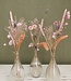 Set Loua Pink | 3 vases including pink dried flowers