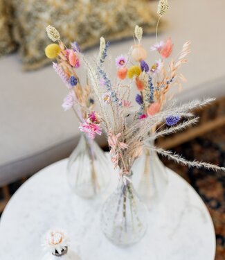 Set Loua Pastel | 3 vases fleurs séchées couleur pastel