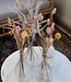 Set Loua Pastel | Pastellfarbene Trockenblumen mit 3 kostenlosen Vasen