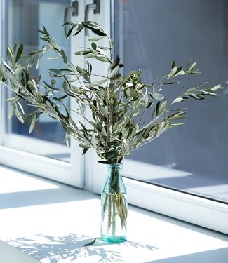 Fresh olive branches per 400 grams