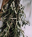 Branches d'olivier fraîches | Par 400 grammes | Longueur 65 centimètres