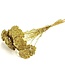 Golden Achillea Parker dried flowers | 10 stems per bunch | Length 65 centimetres