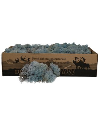 Lichtblauw rendiermos | decoratie mos | Per 400 - 500 gram