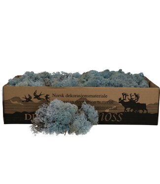 MyFlowers Light blue reindeer moss | decorative moss | Per 400 - 500 grams