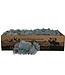 Mousse de renne bleu clair | mousse décorative | Par 400 - 500 grammes