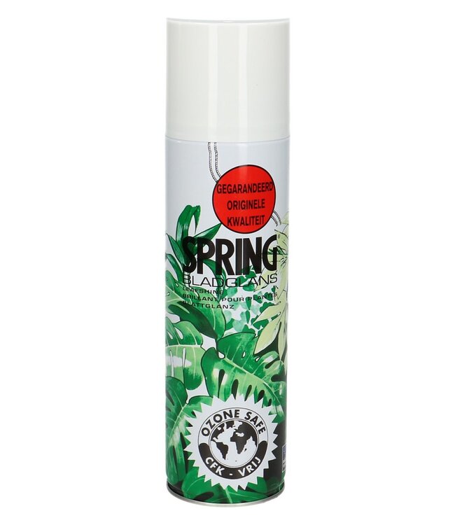 Care Spring Leaf Shine 36oz 250ml | Peut être commandé par pièce