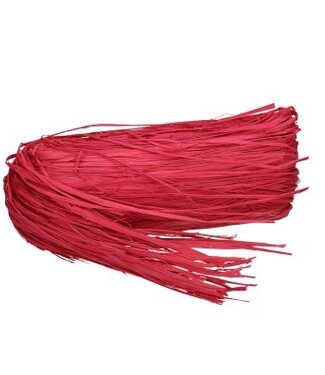 MyFlowers Roze decoratie Raffia 250 gram (x1)