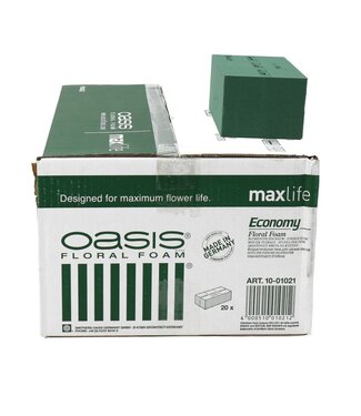 OASIS Green Oasis Block Economy 20*10*8 centimeters (x20)