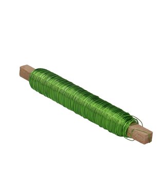 Fil vert clair Fil de cuivre laqué 0,5mm 100 grammes (x1)