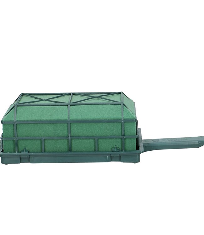 Green Oasis Florette Maxi 34*14*9 Zentimeter | Pro 12 Stück