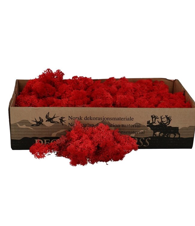 Rood rendiermos | decoratie mos | Per 400 - 500 gram