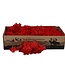 Red reindeer moss | decorative moss | Per 400 - 500 grams