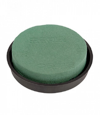 Green Oasis Posy Pad 23 centimeters Naylorbase (x2)