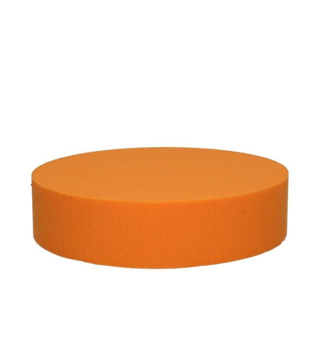 Orange Oasis Color Cake diameter 20*5 centimeters | Per 2 pieces
