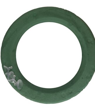 OASIS Groene Oasis Bioline krans d44/30 centimeter (x1)