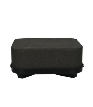 Black Oasis Eychenne Cushion 20 centimeters (x6)