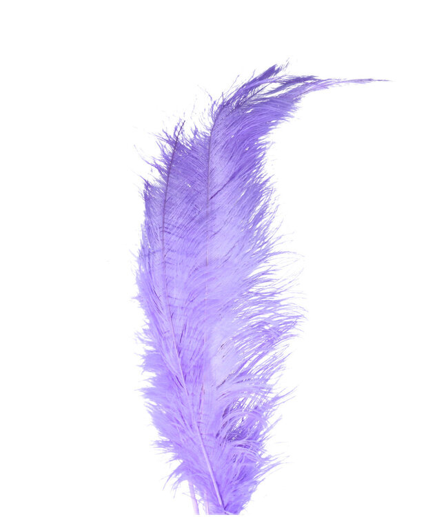 Lilac Feather Ostrich 55 centimeters | Per 5 pieces