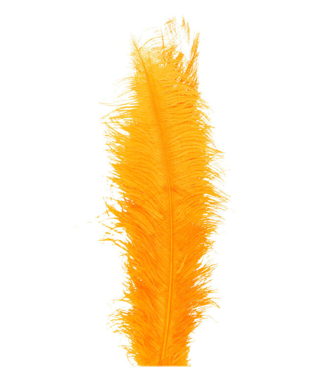 Gele Veren Struisvogel 55 centimeter | Per 5 stuks