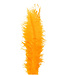 Gele Veren Struisvogel 55 centimeter (x5)