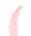 Hellrosa Straußfedern 55 Zentimeter (x5)