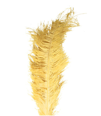 Gold-colored Ostrich Feathers 55 centimeters (x5)