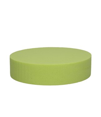 Zitronengelber Oasis-Farbkuchen Durchmesser 20*5 Zentimeter (x2)