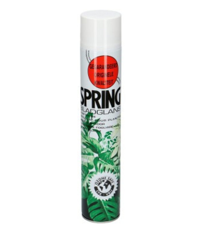 Care Spring Leaf Shine 36oz 750ml | Peut être commandé par pièce