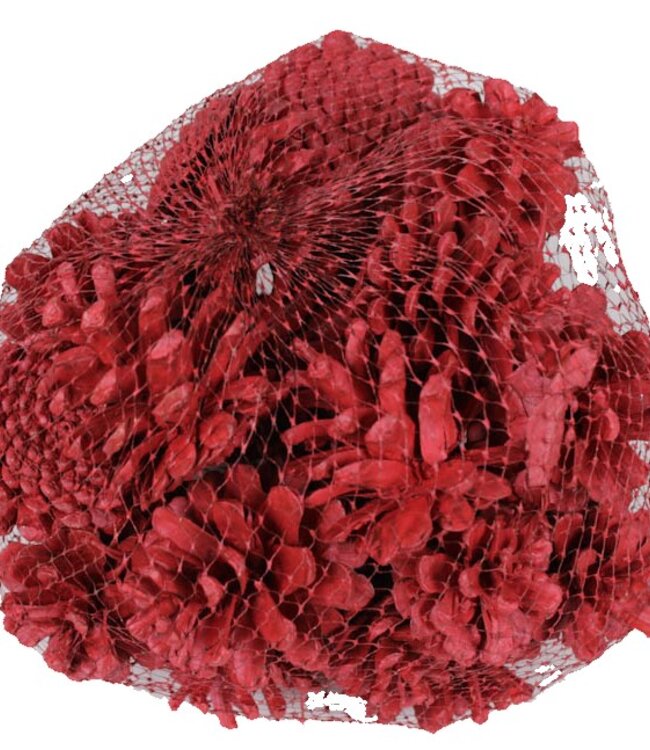 Kiefernzapfen | verpackt pro 500 Gramm | Farbe: rot (x4)