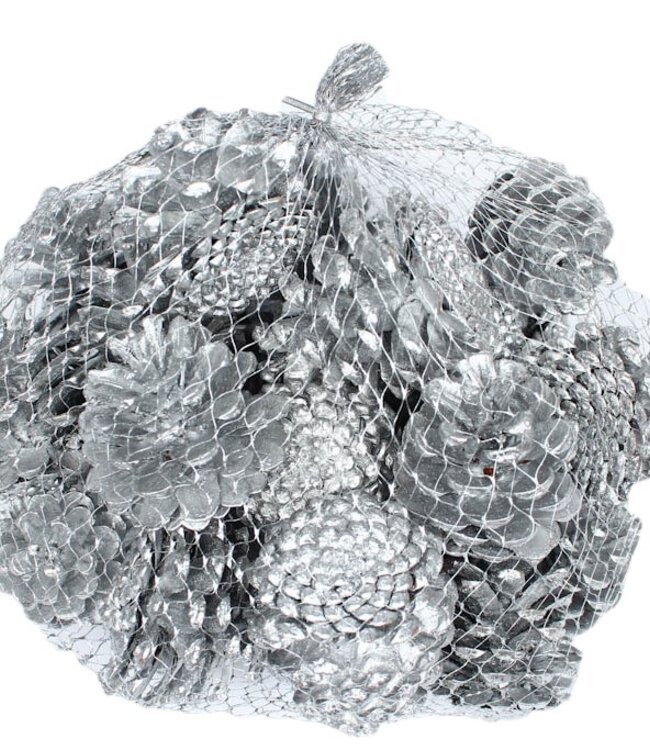 Pine cones | packaged per 500 grams | Colour: silver (x4)