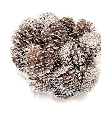 MyFlowers Pine cones | packaged per 500g | Champagne (x4)