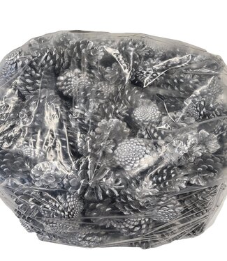 MyFlowers Pine cones | per 10 kg in bag | silver (x1)