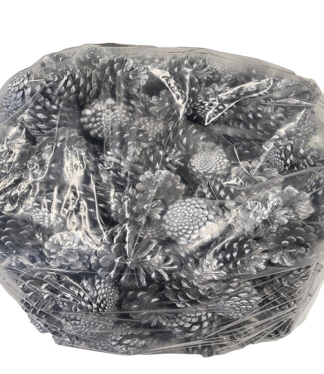 Pine cones | per 10 kg in bag | Colour: silver (x1)