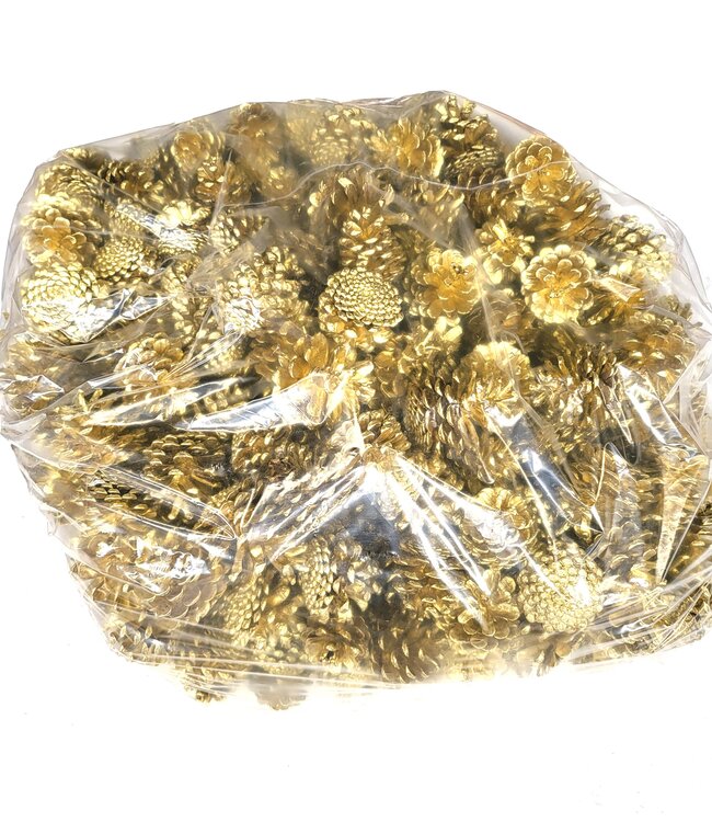 Tannenzapfen | pro 10 kg im Beutel | Farbe: Gold (x1)