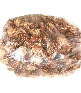 MyFlowers Pine cones | per 10 kg in bag | Copper-coloured (x1)