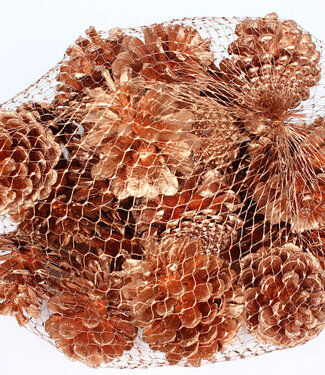 Pine cones | per 500 g packed | copper-coloured (x4)
