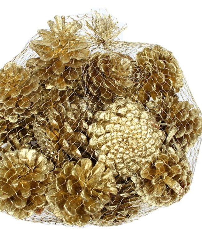 Pine cones | packaged per 500 grams | Colour: Gold (x4)