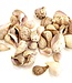 MyFlowers Thalam Paladai shells | packed per 500g (x2)