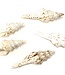 White Seval shells | packed per 5 (x8)