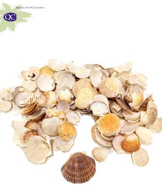 Fan Chippy shells | packed per kilo (x2)