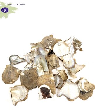 MyFlowers Pearl shells | packed per kilo (x2)