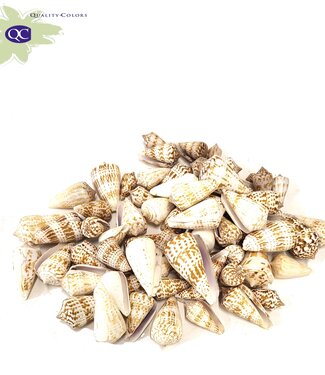 MyFlowers Valai Poo shells | emballé par kilo (x2)