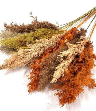 Pampas plumes in earth tones