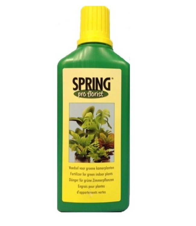 Care Green plants 500ml | Can be ordered per piece
