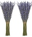 Two bunches of dried Lavender | 100 grams per bunch | Super Deal