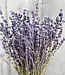 Twee bossen gedroogde Lavendel | 100 gram per bos | Super Deal