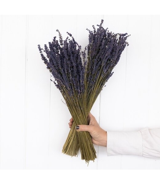 Gedroogde Lavendel | Super Deal