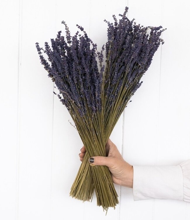 Zwei Bündel getrockneter Lavendel | 100 Gramm pro Bündel | Super Deal