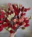 Bouquet of Phalaris in different shades of red