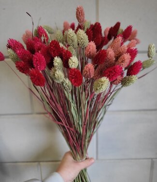Bouquet de Phalaris mélangés aux nuances de rouge